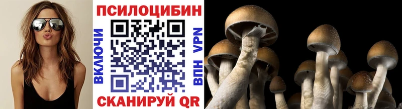 дарнет шоп  Пустошка  Галлюциногенные грибы ЛСД 